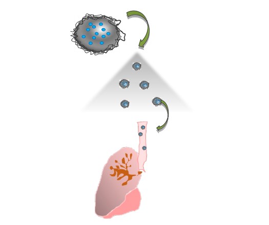 Polymeric nanoparticles petide deliver at lung