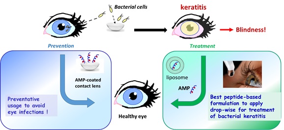 antimicrobial medical devices