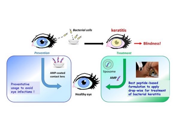 treatment of bacterial keratitis